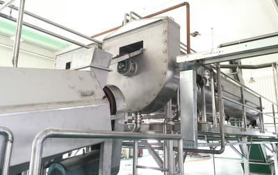 桃子生產(chǎn)線