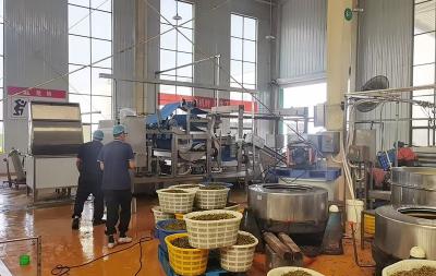 酸菜脫水生產(chǎn)線